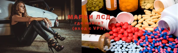 прущие грибы Володарск