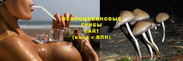 тгк Волосово