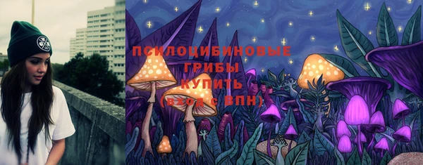 хмурый Вязьма
