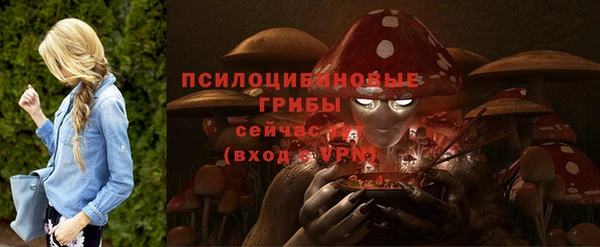 прущие грибы Володарск
