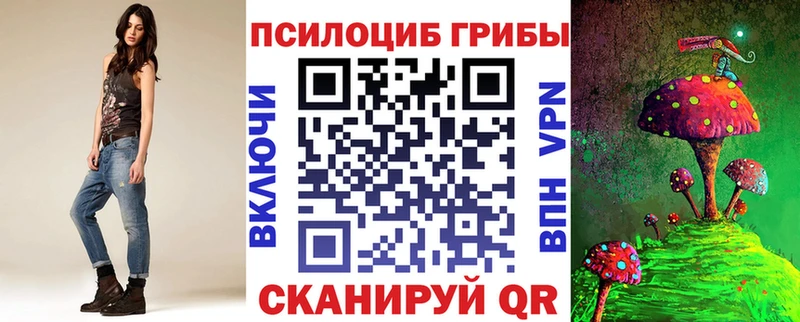 дарк нет телеграм  Новошахтинск  Галлюциногенные грибы ЛСД  купить  сайты 