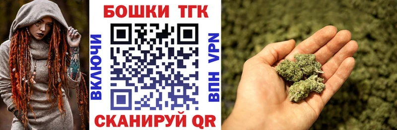 Канабис семена  продажа наркотиков  Новошахтинск 
